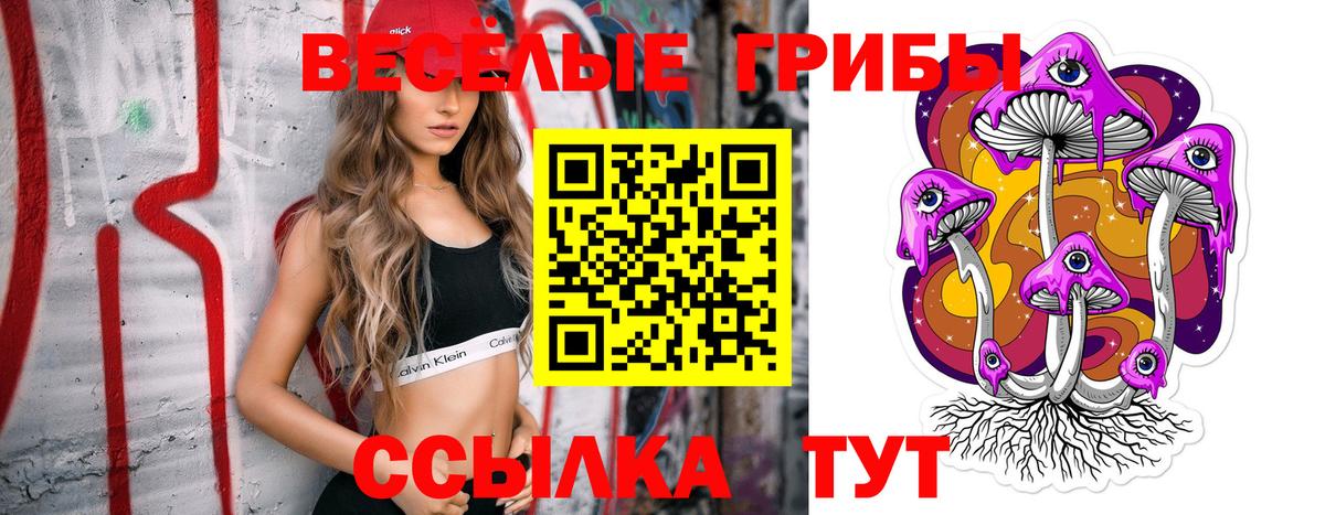 сколько стоит  Псилоцибиновые грибы мицелий  Вход с VPN  Фролово 