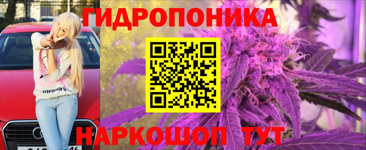 Конопля ГИДРОПОН Фролово